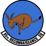 Group logo of U.S. Air Force 95th Reconnaissance Squadron