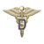 Group logo of U.S. Army Dental Corps
