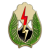 Group logo of U.S. Army 25th Infantry Division II.