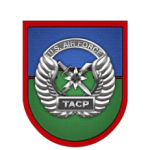 Group logo of U.S. Special Operations Tactical Air Control Party
