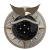 Group logo of United States Atlantic Command (USACOM)