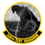 Group logo of U.S. Air Force 346th Test Squadron
