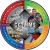 Group logo of U.S. Coast Guard Cutter Boats CG-LIMS Program (CG-9334)